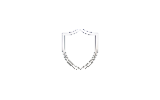 Approved Key Verticals icon for Discretion and care